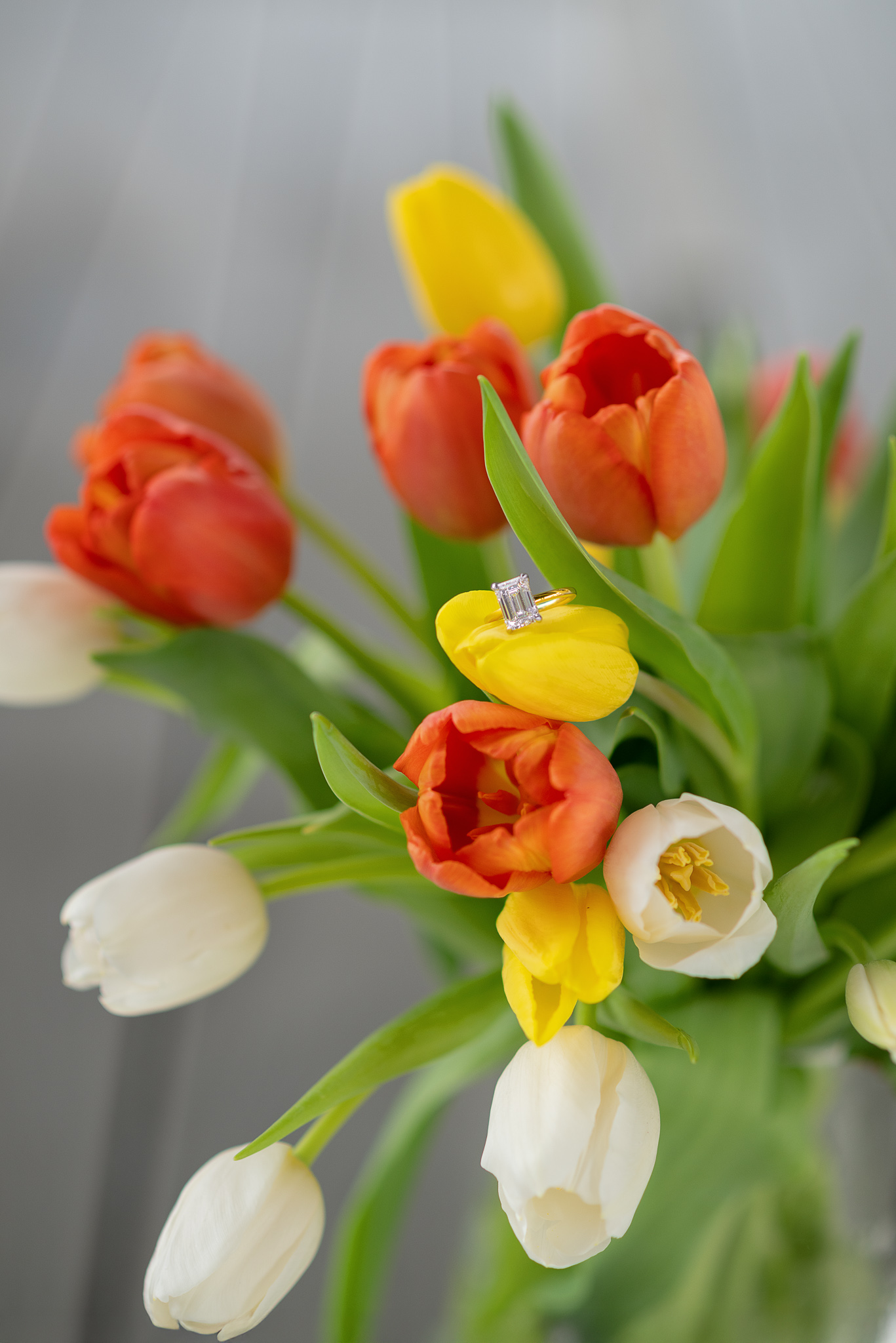 North-Carolina-Couple-Photographer